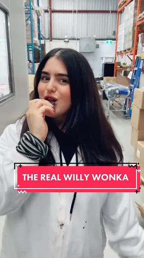 Owning a Chocolate Factory: Benefits & Process Revealed!