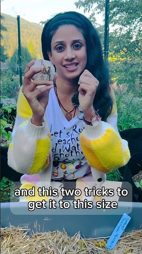 How to Grow HUGE Garlic (Two Tips for Bigger Bulbs)