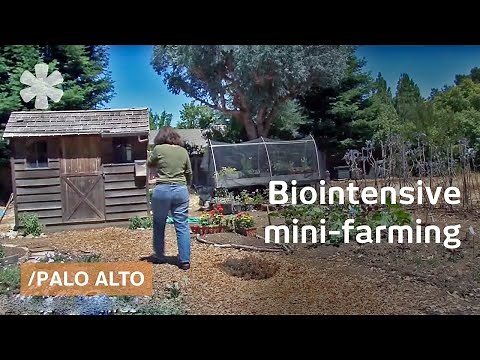 Biointensive mini-farming: grow more food in less space