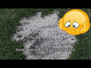 How to Fix Bare Spots in Lawn