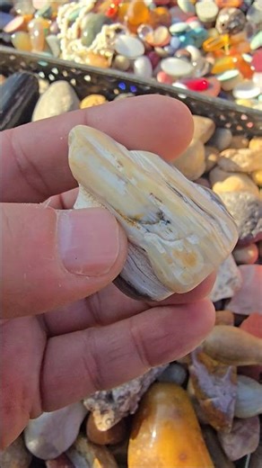 Hunting Rare Gemstones in the Market! You Won’t Believe What I Found! #shorts #gemstone