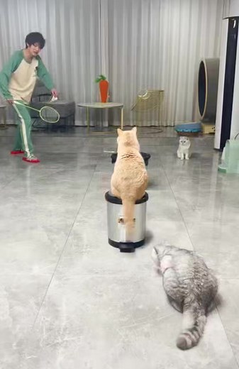 Not My Problem on Reels