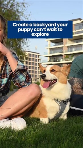 Designing Your Puppy-Friendly Backyard Oasis