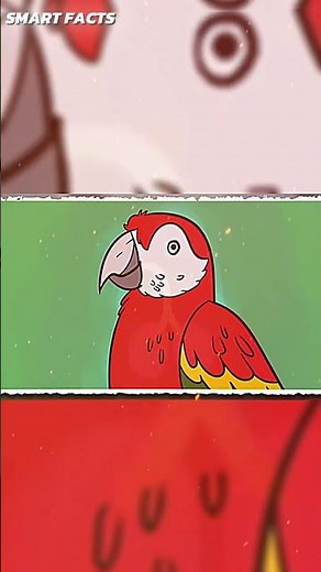 How Do Parrots Talk Like Humans!
