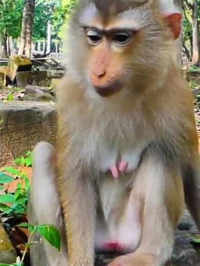 #cutest# funny#best video#awesome activities 184
