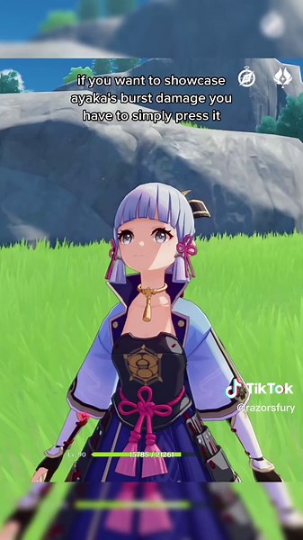 Ayaka and Shenhe Team Guide for Genshin Impact