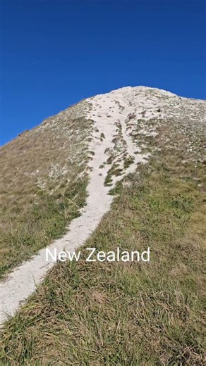 ニュージーランドの南島の海辺の街カイコウラの山にて天然トレイルで坂トレ。驚いたのはこの練習時に誰一人会わなかったこと…。 ニュージーランドは広いです…。 #trailrunning #トレイルランニング #gontex #tsuyoshikaburaki #essサングラス #thenorthfacejapan #tnfjp#アスタビータスポーツ #マラソン | 鏑木 毅