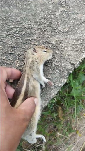 odata ke Acerdent in Harvey road in my village