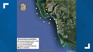 Elevated levels of red tide reported in southwest Florida