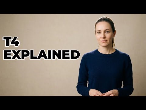 What Is The Role Of Free T4 Hormone?