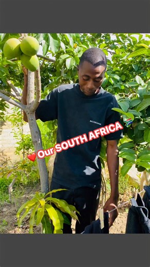 Zata Zw on Instagram: "South African Government 🇿🇦🇿🇦 we’re one ❤️😃😃❤️🇿🇼🇲🇼🇨🇩🇧🇼🇳🇦"