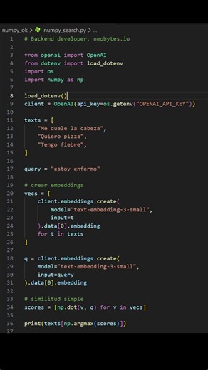 Python — búsqueda inteligente en 20 segundos