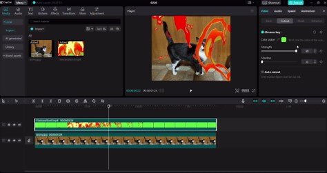 Chroma key not working properly