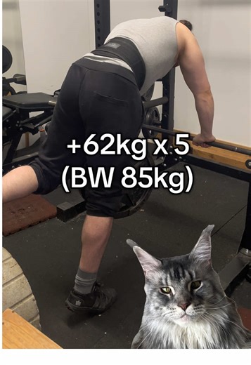Tomorrow again! Aiming for 15-17 total weekly reps with that weight. Can probably increase it next week 📈 Coaching? DM! #sciencebasedtraining #sciencebasedlifting #bodybuilding #homegym #homeworkout