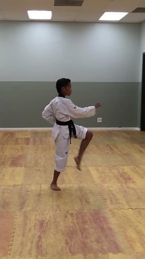 Taekwondo Form 3 Taegeuk Sam-Jang