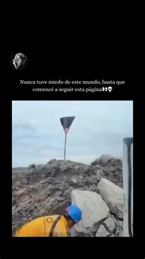 Extrañamente Salvaje on Instagram: "La publicación presenta un video hilarante de 15 segundos en el que un hombre se da cuenta de un grupo de abejas negras posadas en un pequeño poste de madera. De forma traviesa, les lanza una piedrecita, lo que hace que todo el enjambre vuele furiosamente hacia él. Antes de que lo alcancen, corre de regreso al coche y cierra la ventana justo a tiempo, mientras las abejas revolotean afuera intentando atacarlo. El momento caótico, la reacción de pánico del hombr