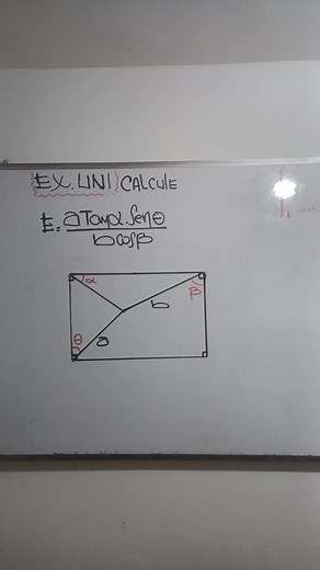 Resolución de Triángulos Rectángulos: Aprende con Ricky
