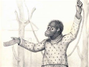 Context to Darwin's Theory of Evolution | Teaching Resources