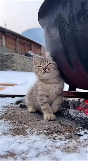 26 марта 2026 г.