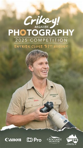 Spread the word! 🌎📢 The Crikey! Magazine Photography competition is accepting entries now. Visit our website for more information. 🐍 | Australia Zoo