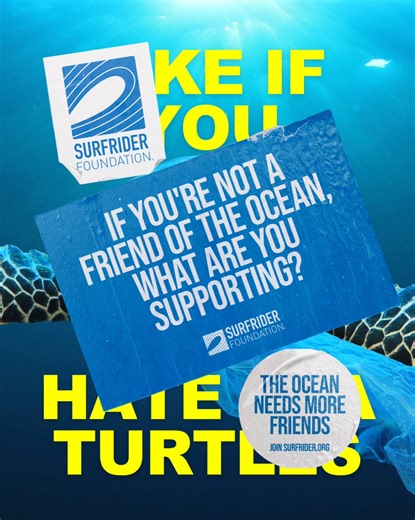 1.6K views · 11 reactions | LIKE IF YOU HATE SEA TURTLES  If you’re not a Friend of the Ocean, what are you supporting? The Ocean Needs More Friends. Join Surfrider: https://hubs.la/Q01Q66nJ0 | Surfrider Foundation | Facebook