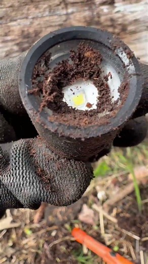 Flashlight #environmentalcleanup #metaldetecting