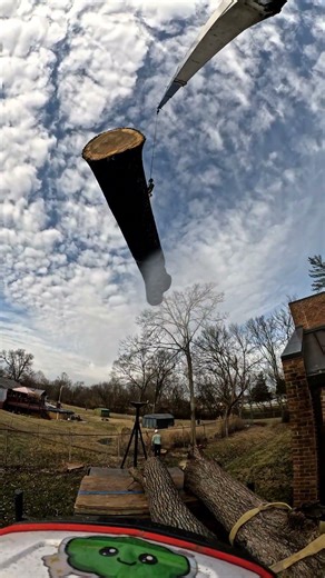 How We Load Massive Logs with a Crane