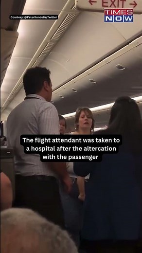 Viral Video: Passenger Onboard An United Airlines Flight Assaults Flight Attendant #shorts