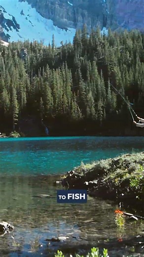 Why Idaho Falls Is Perfect for Outdoor Living