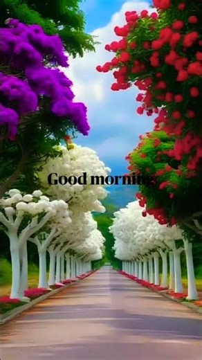 Good morning 🌞🌄 Beautiful good morning whatsapp#shorts​#status​#goodmorning​ #video​ #message​ 🌄🌞