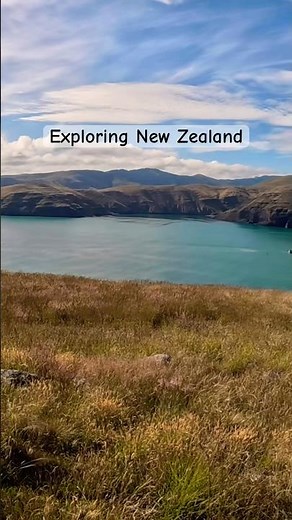 Exploring New Zealand 🤩🤩#shorts #shortvideo #newzealand