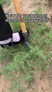 226K views · 769 reactions | Say goodbye to back-breaking labor! Our tool zaps weeds in seconds✅ No bending✅ No pulling ✅ No kneelingFree your knees and back Shop now  https://t.site/3Ttupb0 | Imagnaryto&XP | Facebook
