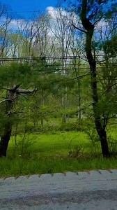 42K views · 2.8K reactions | Prayers for all the people affected by the tornados #driving #travel #kystrong #love #spring2025 #blessed | Patty Hudson | Facebook