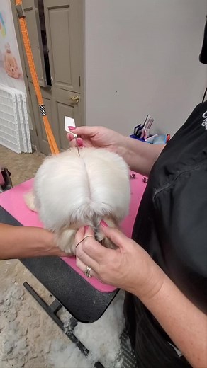 Zolitta_Olga on TikTok