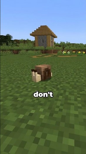 This snail is slow, but deadly #minecraft