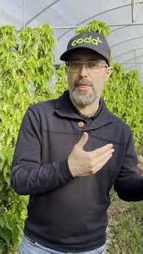 Unibrot ensures uniform bud break of your fruit trees