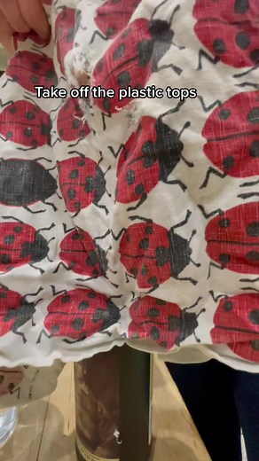 Katie chalmers on TikTok