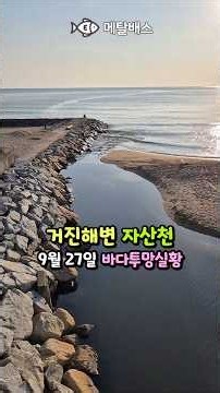 거진해변 자산천 바다투망실황, 숭어전어학꽁치투망의 성지, 고성 동해바다 거진항 그물낚시 차박캠핑, 갯터짐 파도잔잔, 감성돔투망, 연어투망, castnet,fishing,pesca