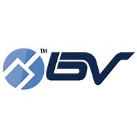 BV SECURITY | LinkedIn