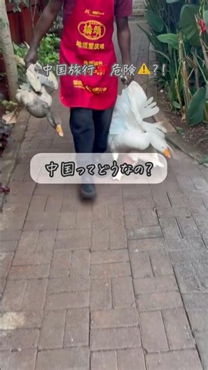 いまの中国旅行は危険⚠️？！実際1人で行ってみた結果🫡✨