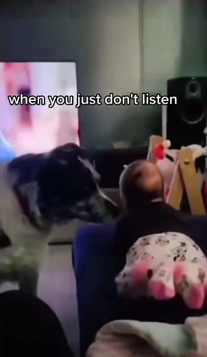 Dog Smells Baby's Diaper in Hilarious Meme
