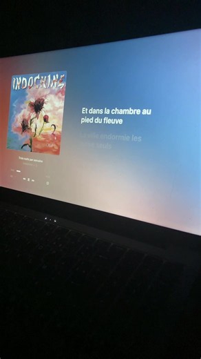 Indochine - 3 NUITS PAR SEMAINE paroles complètes