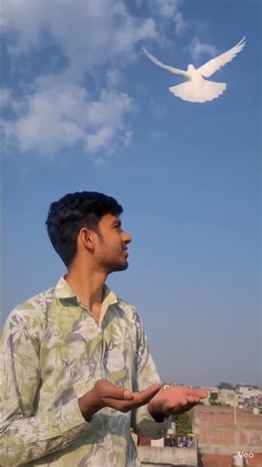 yah Dekho Bhai mera paaltu kabutar