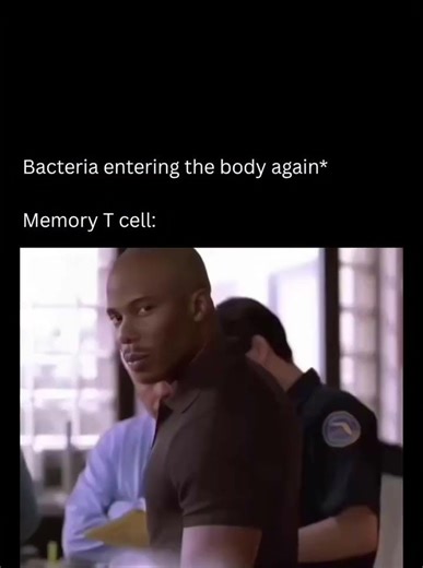 #alevelbiology #memes #biologyexplained #funny #biologyexplained