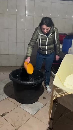 Cheese Making Process: From Curd to Creation