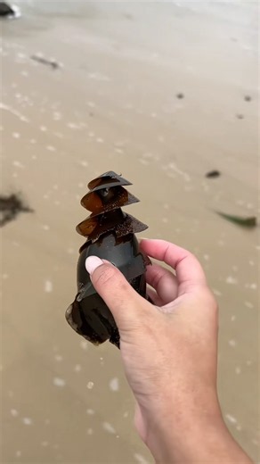 How To Rescue A Shark Egg #goodtoknow #vet #medicine #educational #funfacts #lifehacks #learn #hacks