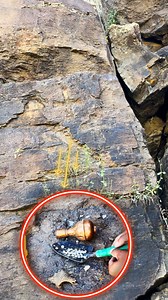 7.6K views · 256 reactions | treasury of the great cross | Treasure Hunter | Facebook