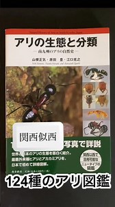 「アリの生態と分類】124種のアリ🐜解説