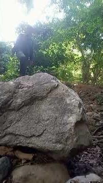 tang đá không lô.