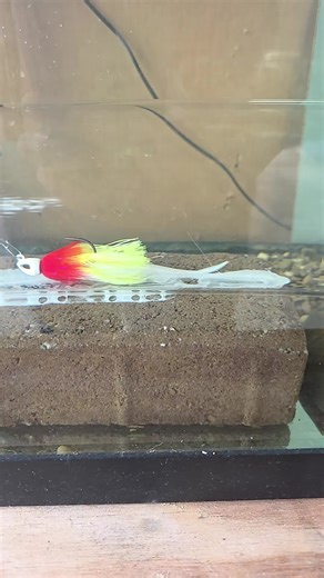 Custom Clown Pattern Fishing Lures with Unique Skirts